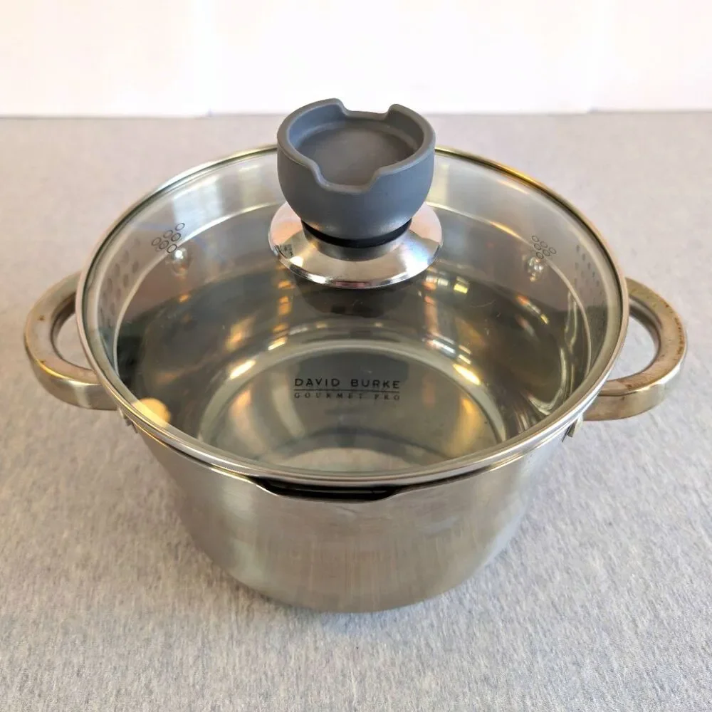 David Burke Gourmet Pro Stainless Steel Stockpot 3.3 Qt Glass Lid Double Handle